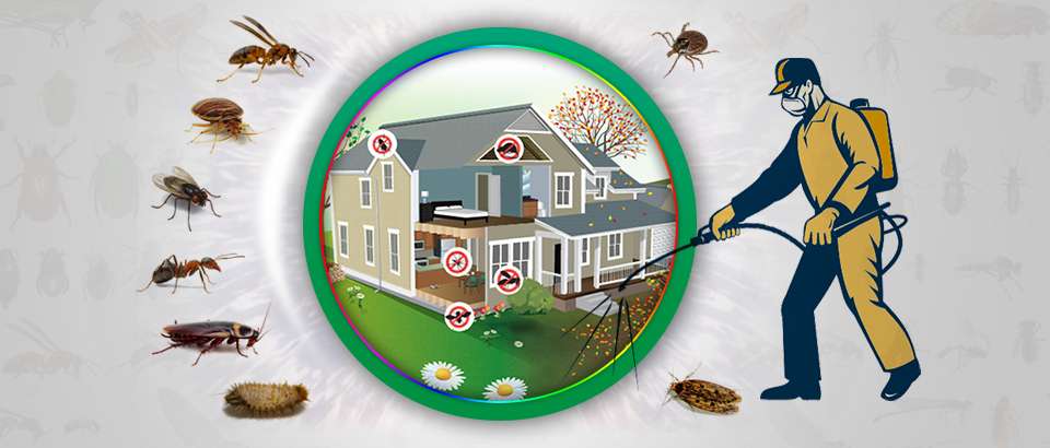 pest control service abu dhabi